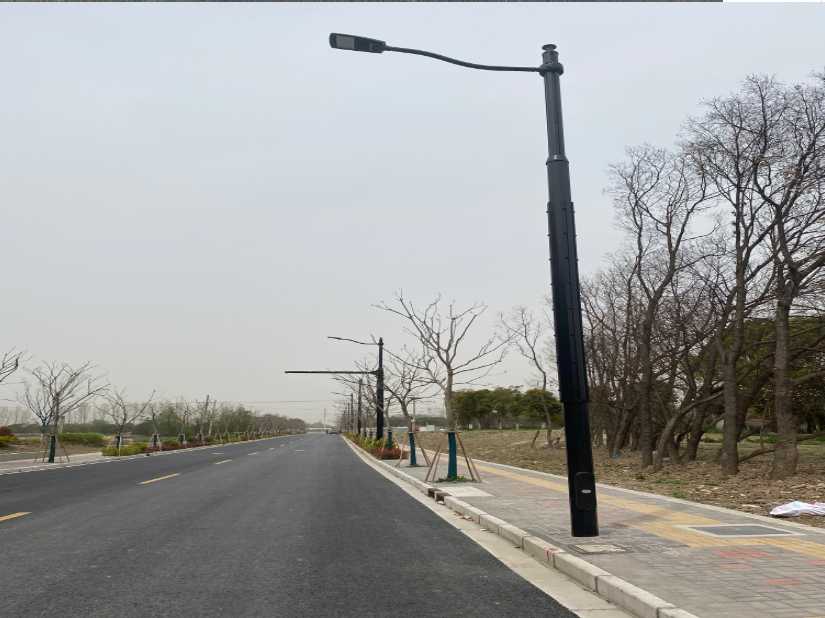 嘉陵区上海综合杆 太阳能路灯工程